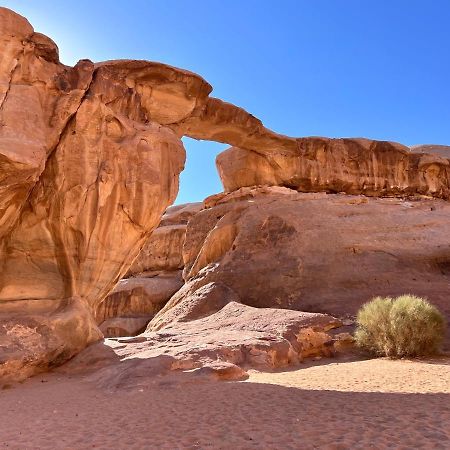 Wadi Rum Tents Extérieur photo
