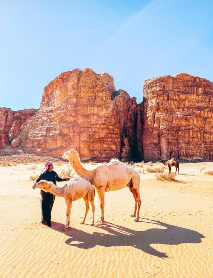 Wadi Rum Tents Extérieur photo